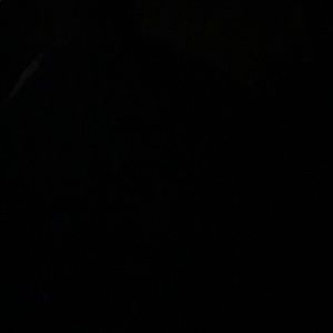 Meet your Posher, Imani